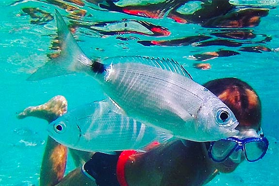 Immersioni a San Vito Lo Capo