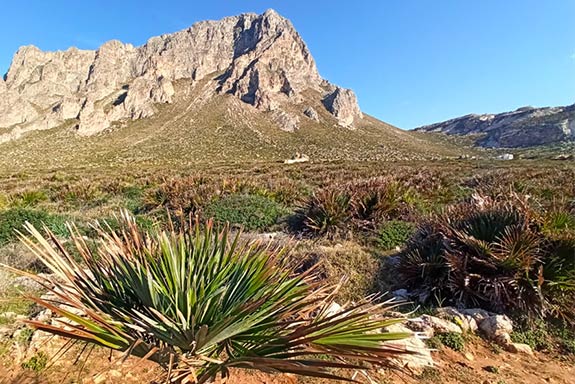 riserva-monte-cofano